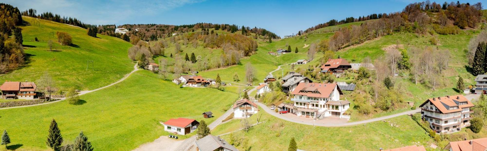 Schwarzwald Hotel Wiedenerhof Ngoại thất bức ảnh