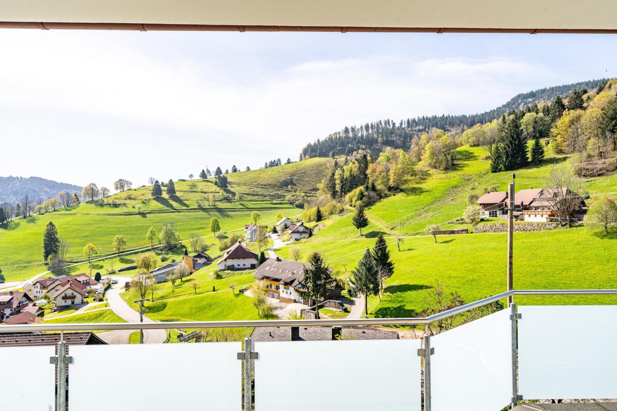 Schwarzwald Hotel Wiedenerhof Ngoại thất bức ảnh